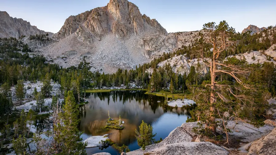Mountain lake wallpaper among pine trees for Windows