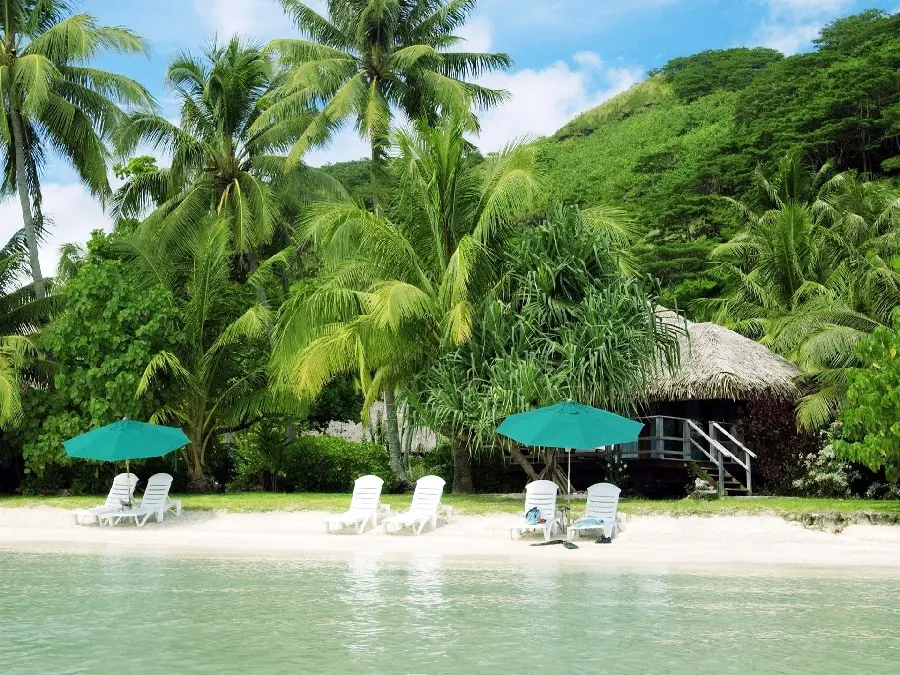 A spectacular frame of beach umbrellas in the heart of the hot and sunny summer of 2023
