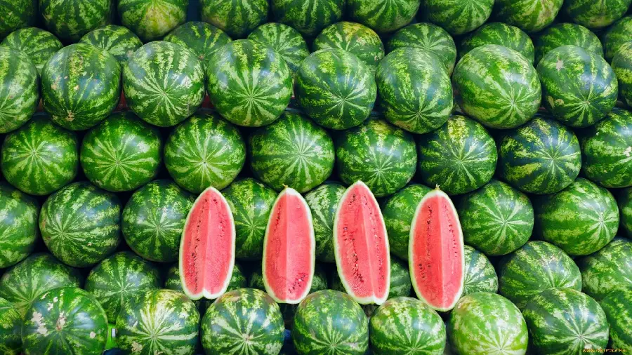 Unique and spectacular photo of beautiful and spectacular watermelons