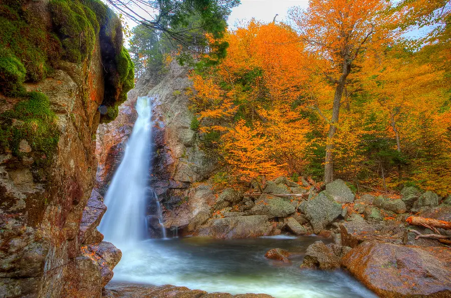 Real photo of a beautiful waterfall in autumn nature with the highest quality 