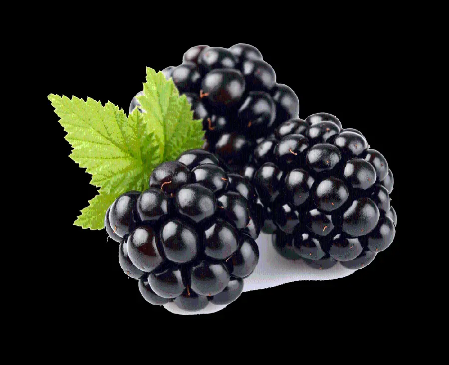 Free PNG image of black raspberry with black background