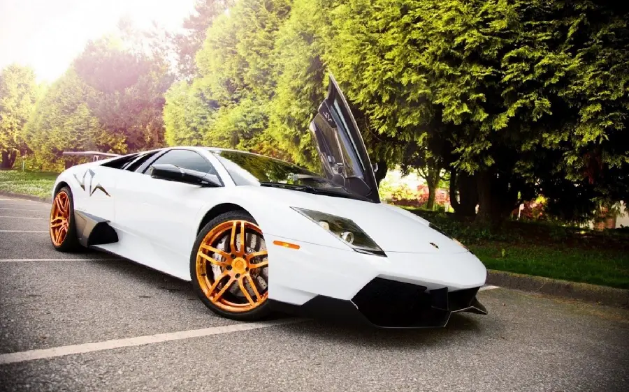 White Lamborghini wallpaper in nature with orange rims 