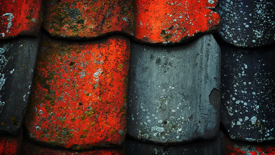 Download attractive and spectacular background of a beautiful roof 