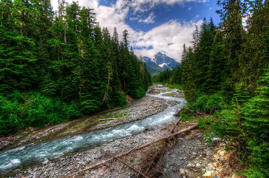 Beautiful nature photo of the forest and river in the landscape of Australian cities
