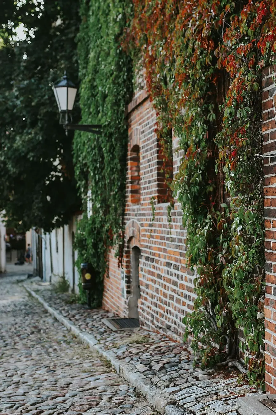 The most beautiful iPhone background with a beautiful old brick wall design