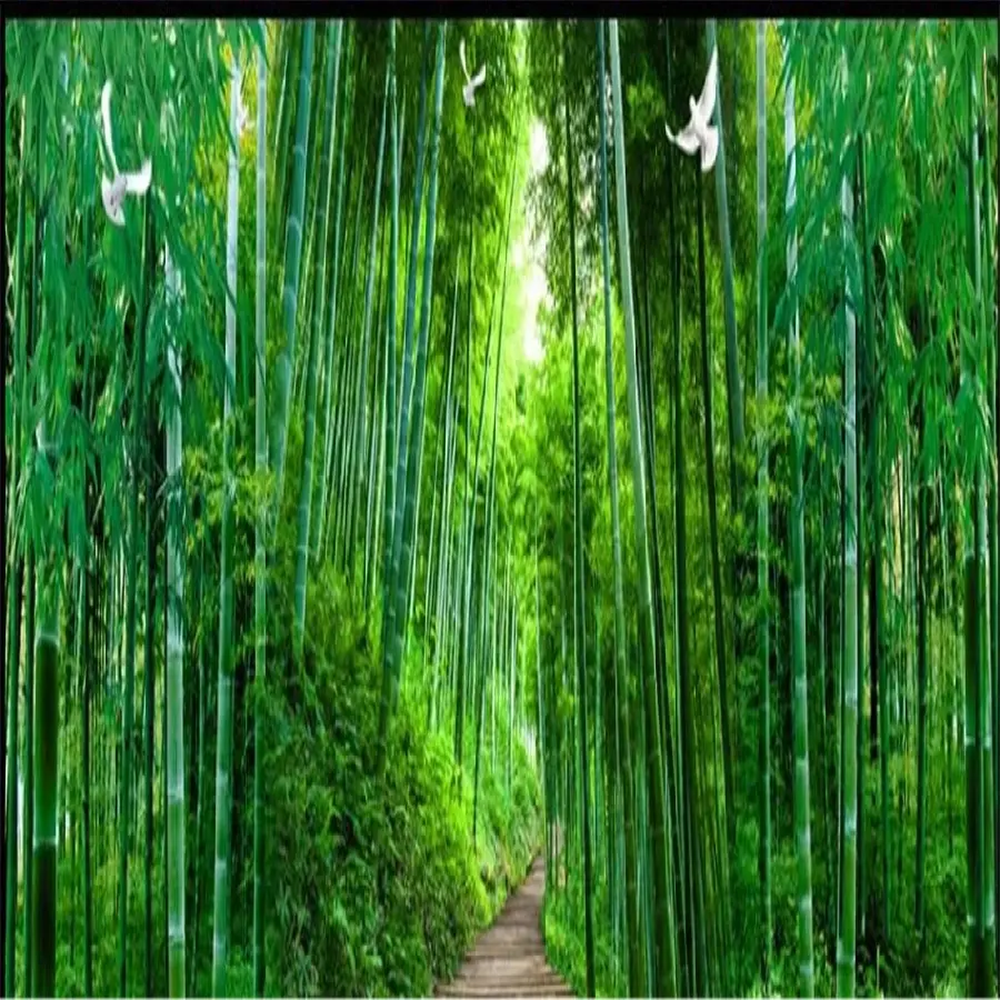 Download profile picture of a road in a bamboo forest for telegram