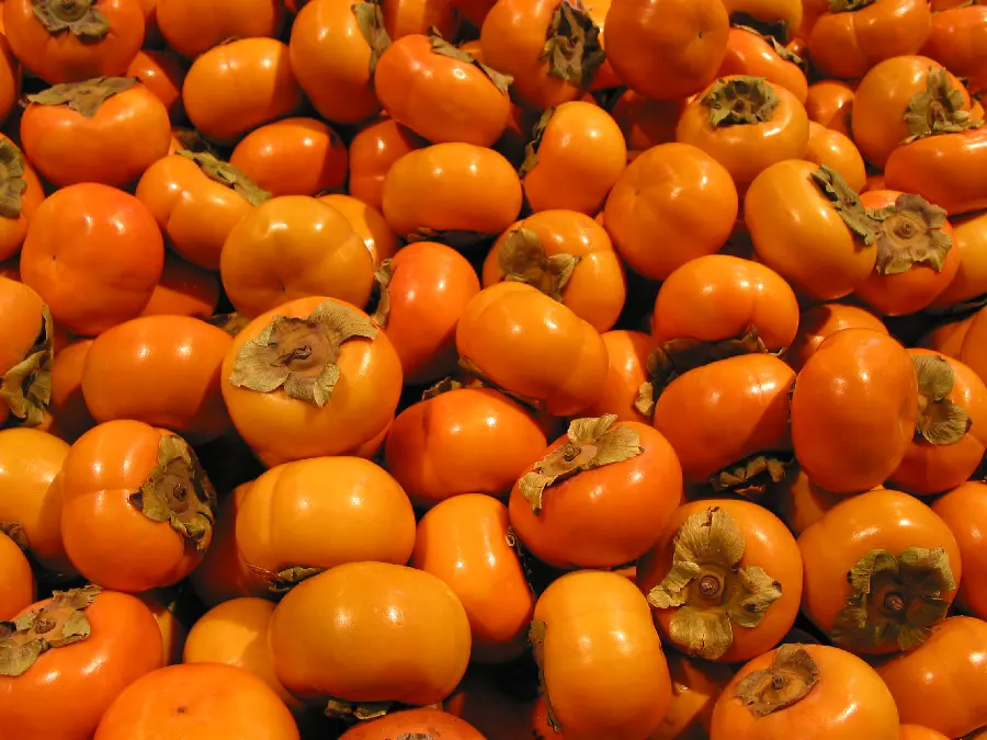 A beautiful and delicious story of abundant, colorful and shiny persimmons