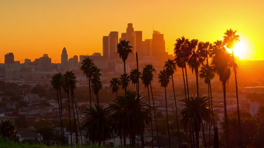 The latest photo of a stunning sunset in Los Angeles with palm trees in the city