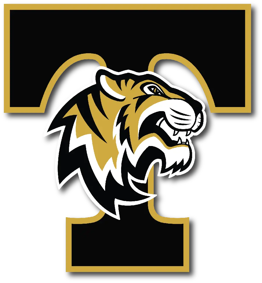 Professional ready-made tiger logo design with the letter T Tiger ready for sale 