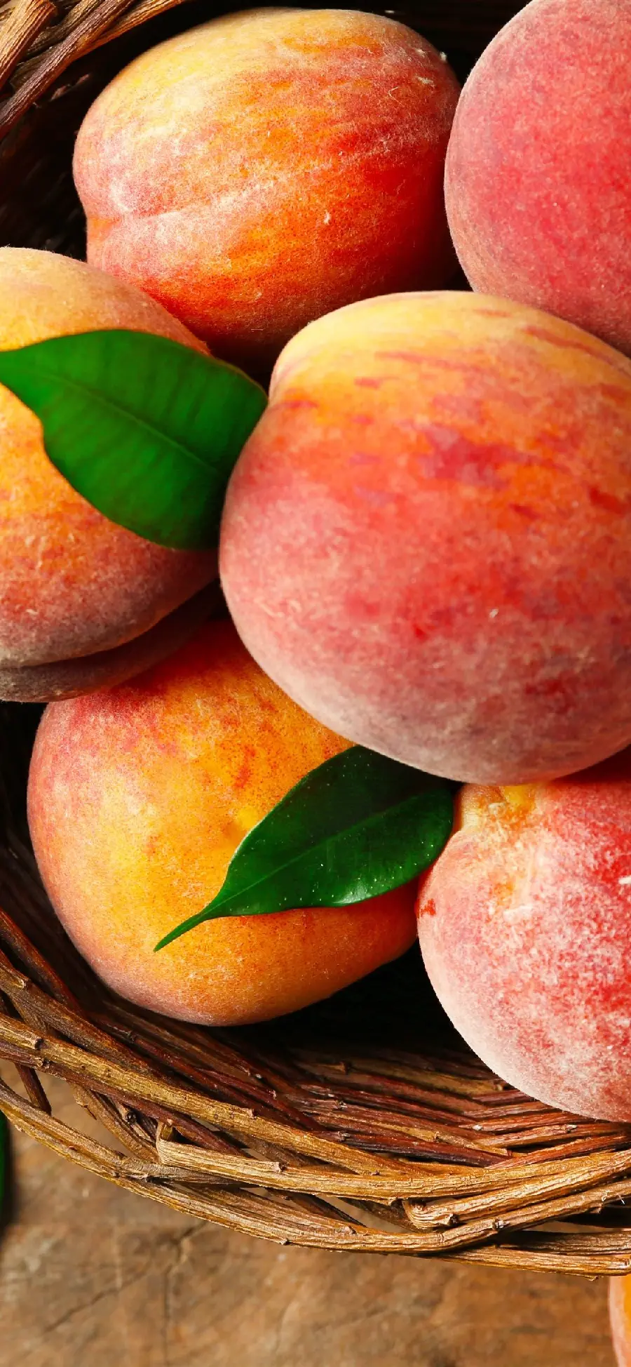Summer girl profile with peach fruit design suitable for Telegram and WhatsApp