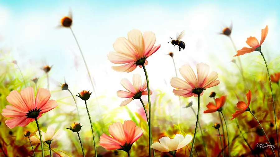 Beautiful and stylish summer photo of pink flowers and wild bees