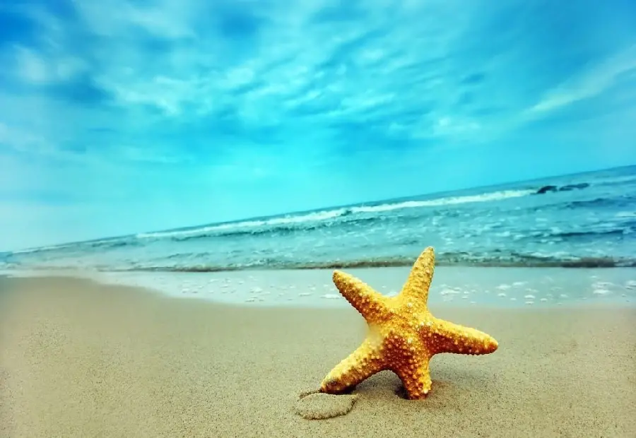 Download free summer profile with a Googly starfish design on the cool seashore