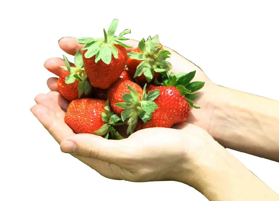 A very beautiful and unique background of strawberries