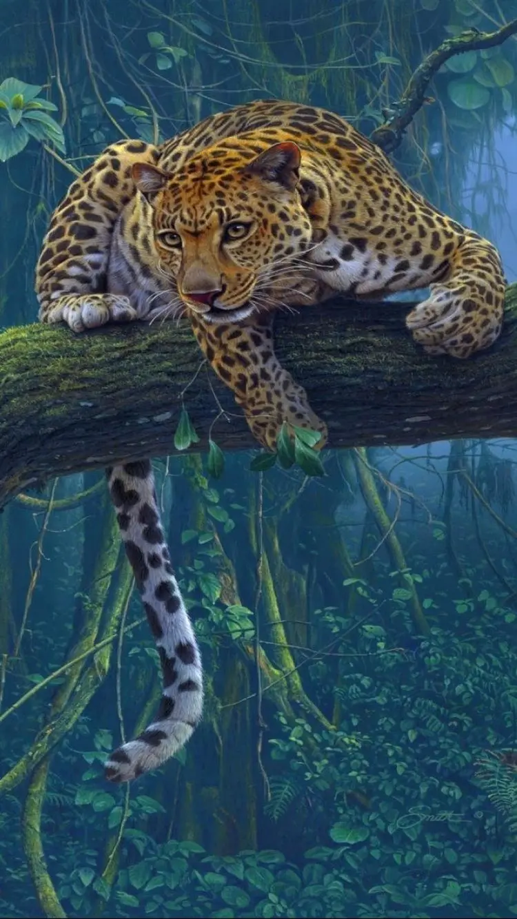 Interesting and attractive wallpaper of an Iranian jaguar on a tree branch
