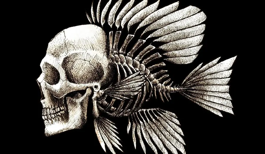 Creative graphic image of Darwin's theory of biological evolution