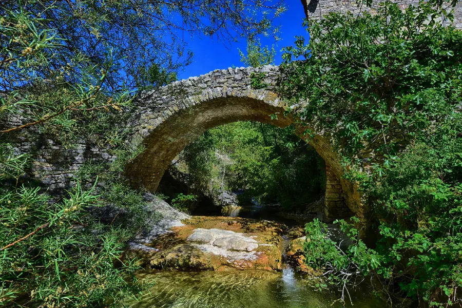 Full HD image of lush nature suitable for printing paintings and posters