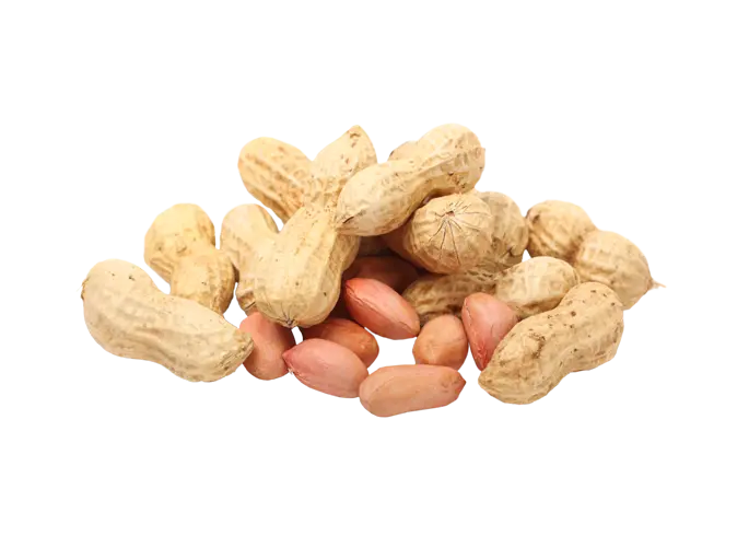 Poster of delicious peanuts without background