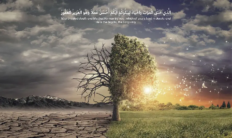 The Latest Profile Picture with the Quality of the Quran Verse for Rubika
