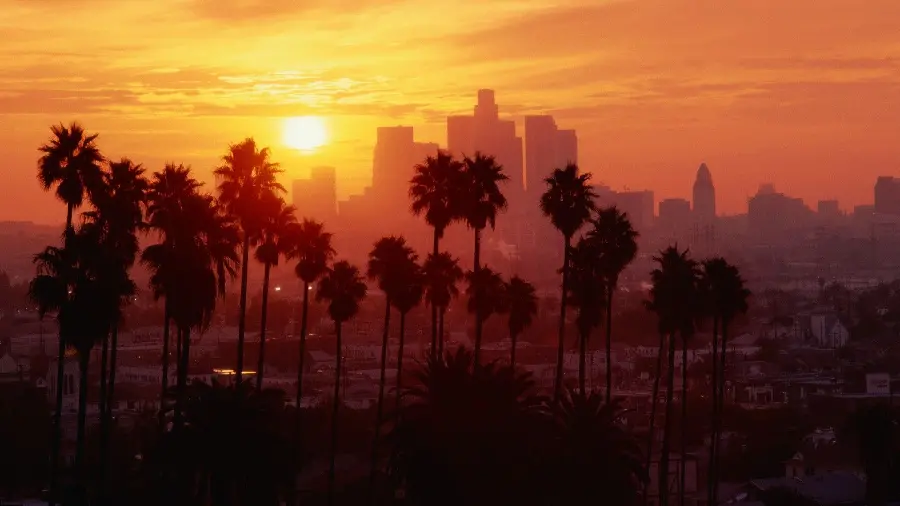 High-quality background of the public space of the city of Los Angeles and various palm trees at sunset