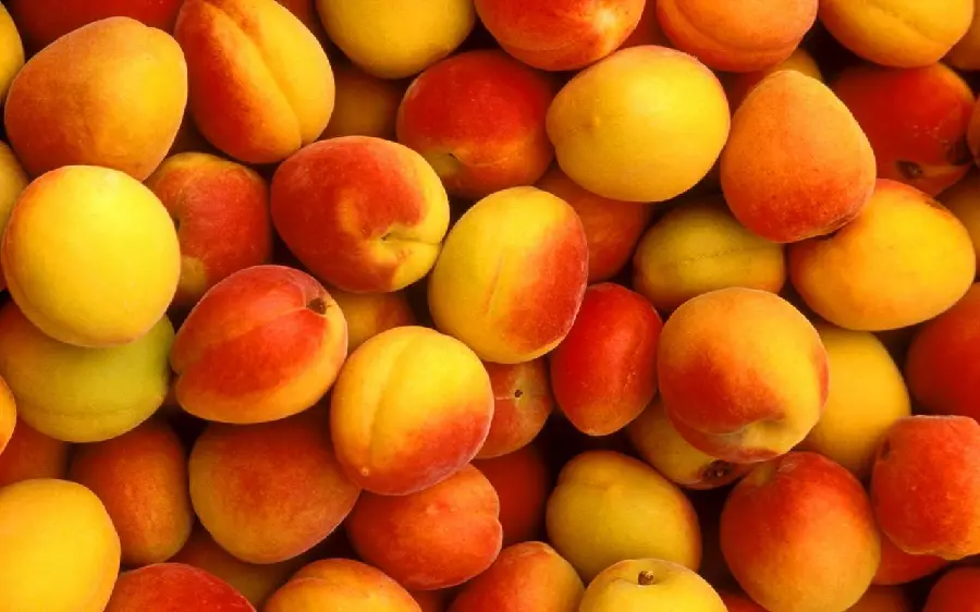 Beautiful wallpaper of sweet and summer peach fruit for laptops