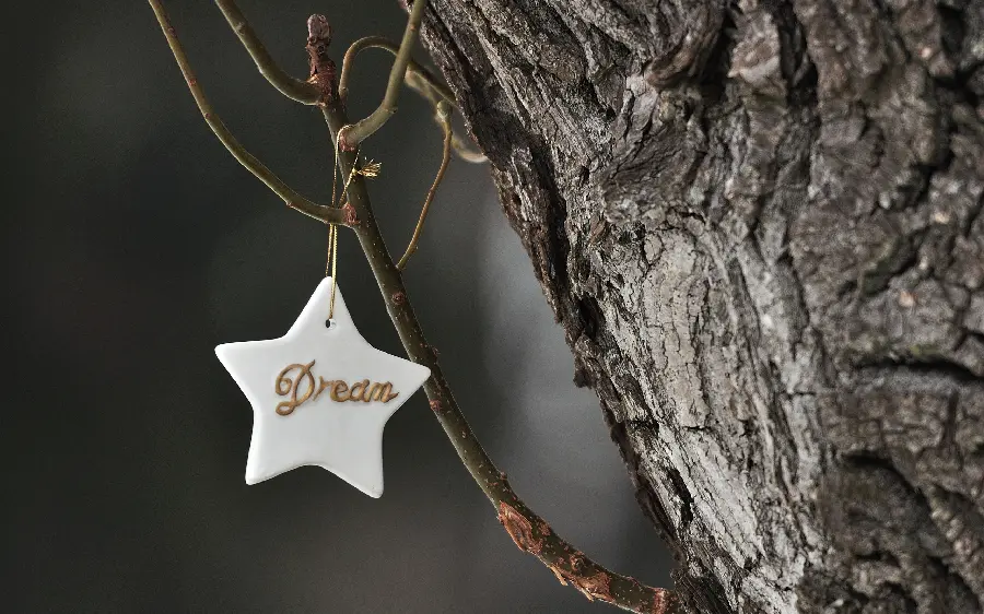 Wallpaper of Dream cookie hanging on a branch of a tree