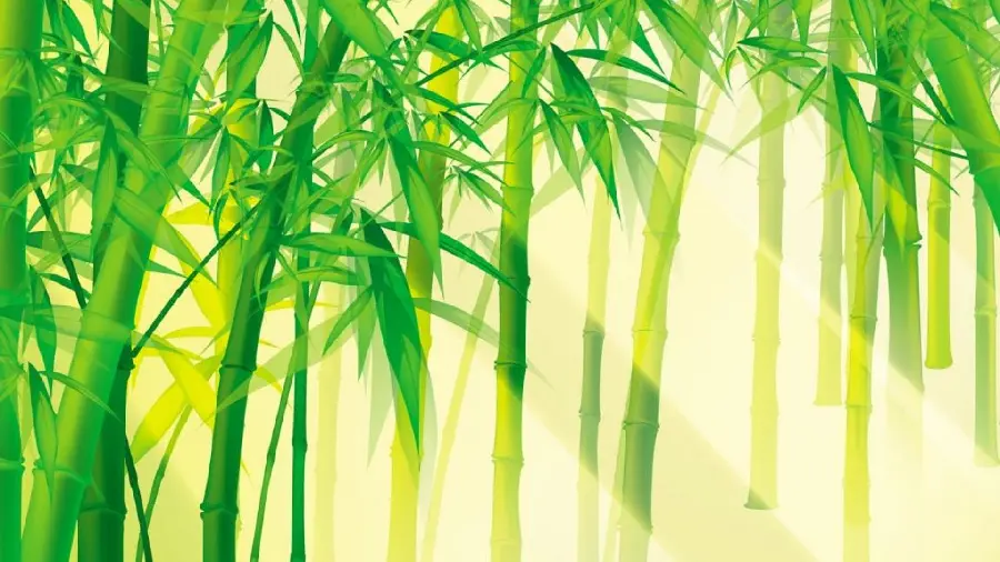 Download free computer and laptop screen photo of a bamboo tree