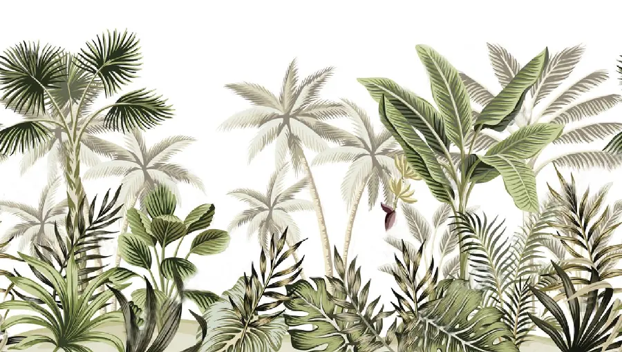 A spectacular cartoon of a towering banana tree