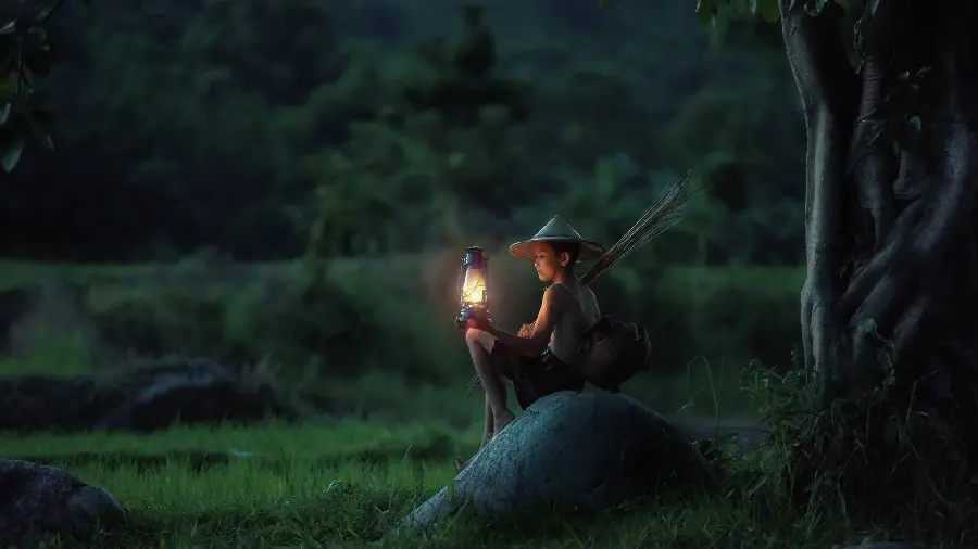 Stock image of a little boy in the woods with a lantern