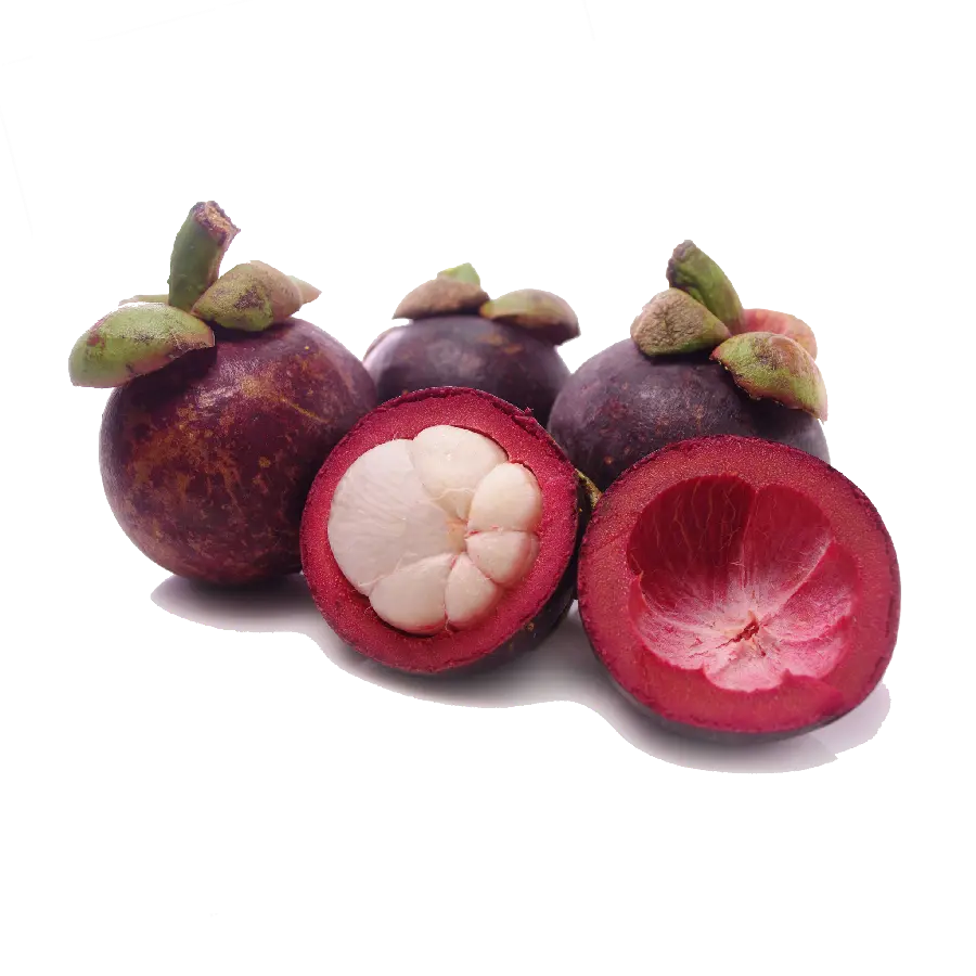 Photo of the most delicious fruit in the world called Tergil with the highest quality 