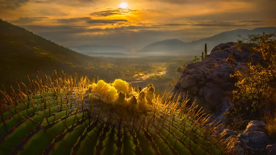  Image Fantastic and amazing sunset 