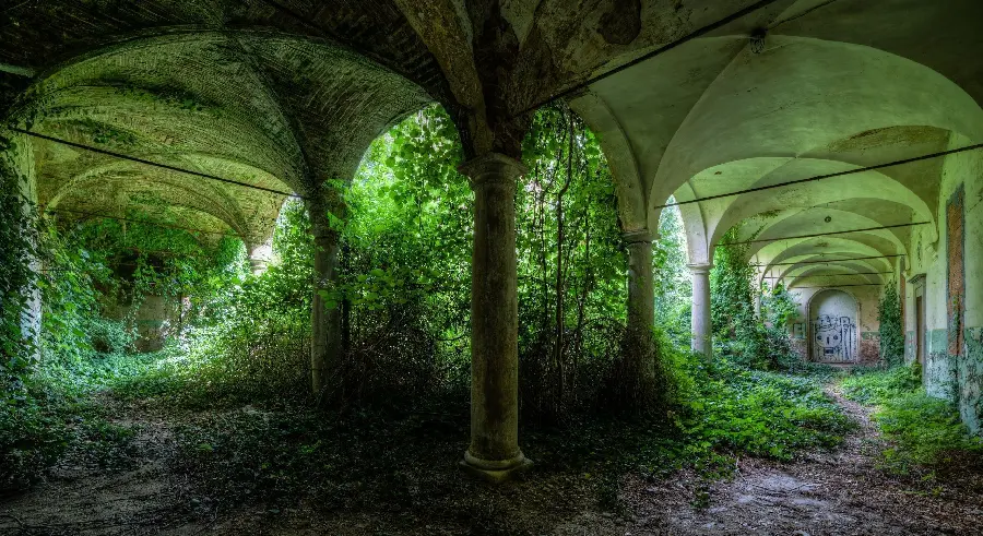 Download wallpaper of a green and fantasy abandoned city without humans 