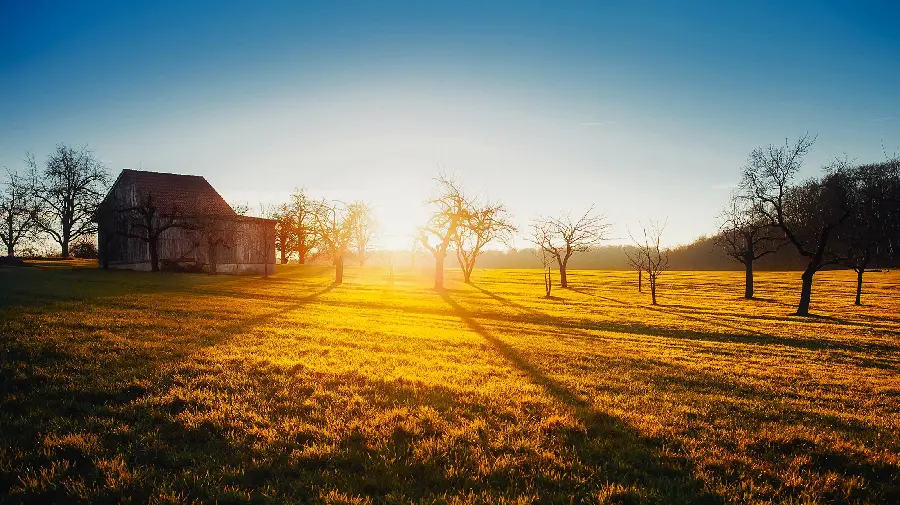 Stock photo of a wooden hut under the sunlight for a Telegram profile