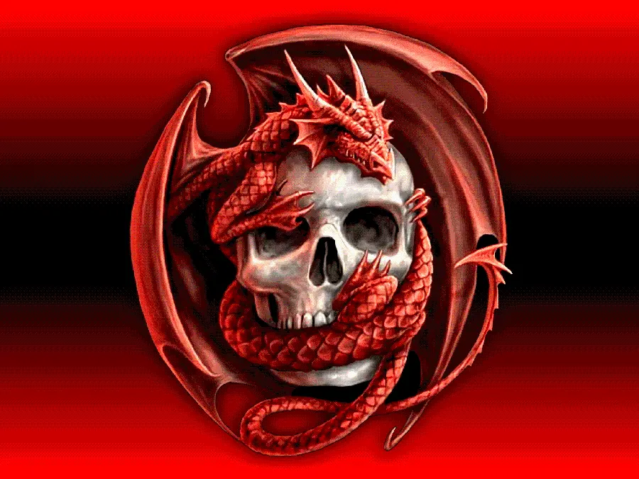 Special red profile photo with a pirate skull and a legendary dragon