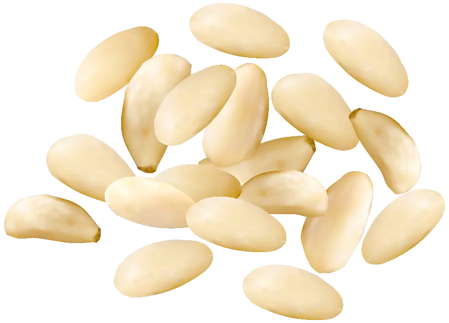 Amazing layered vector of delicious white peanuts