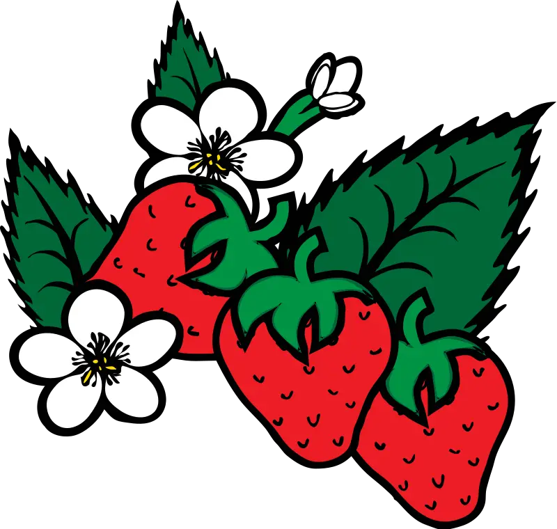 Cartoon strawberry PNG drawing photo teleported