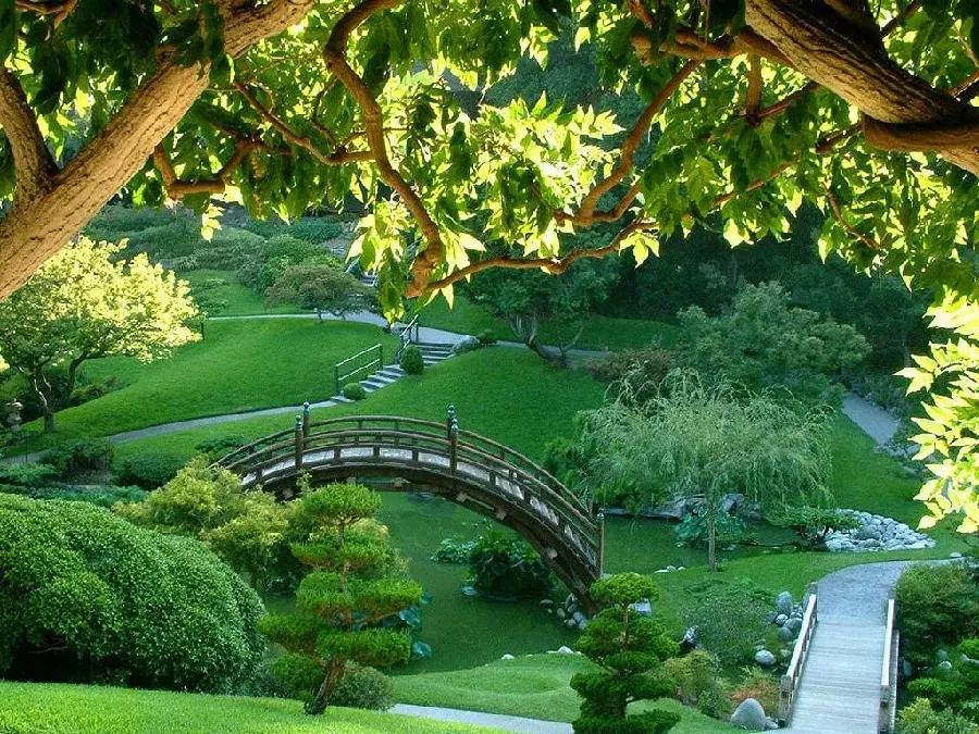 Japanese Zen Aesthetic Picture Bridge and Wonderful Nature 
