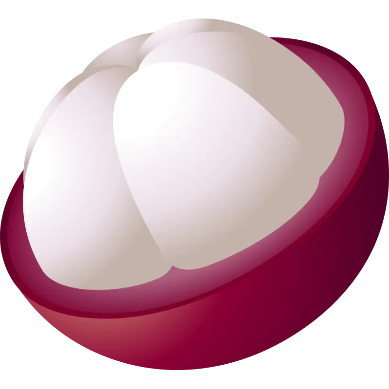 Colorful Targil fruit design photo with free PNG format 