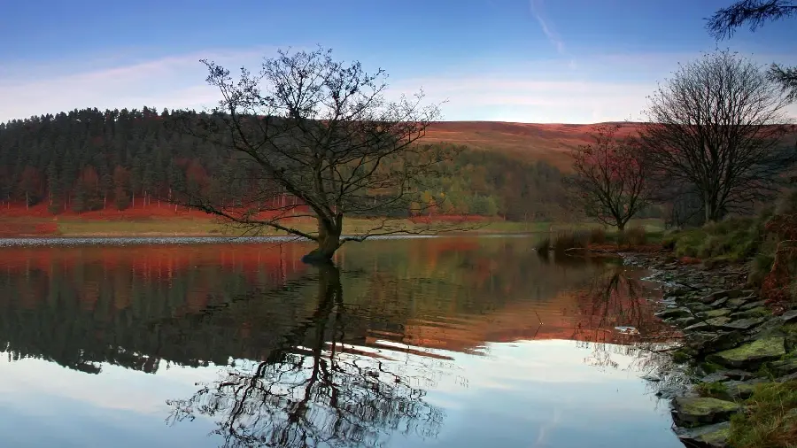 Wallpaper photo of colorful autumn nature by the lake