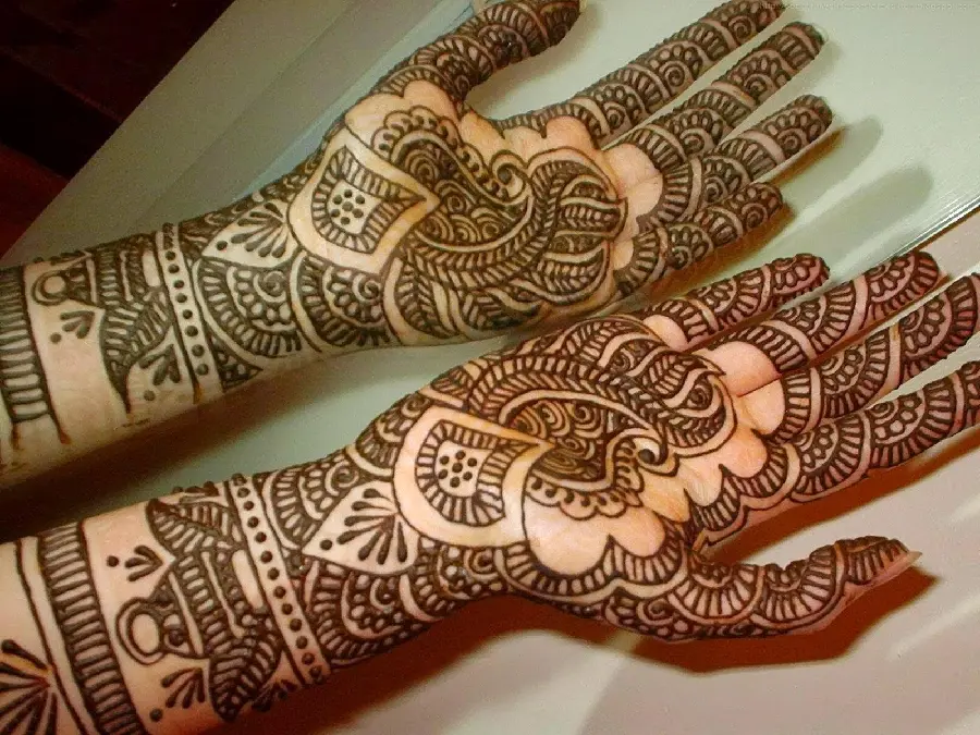 Beautiful picture of henna designs on the hand with an intricate wicker pattern