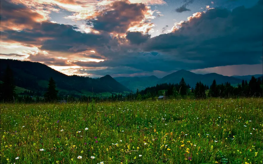 Download free computer background of beautiful natural landscape 