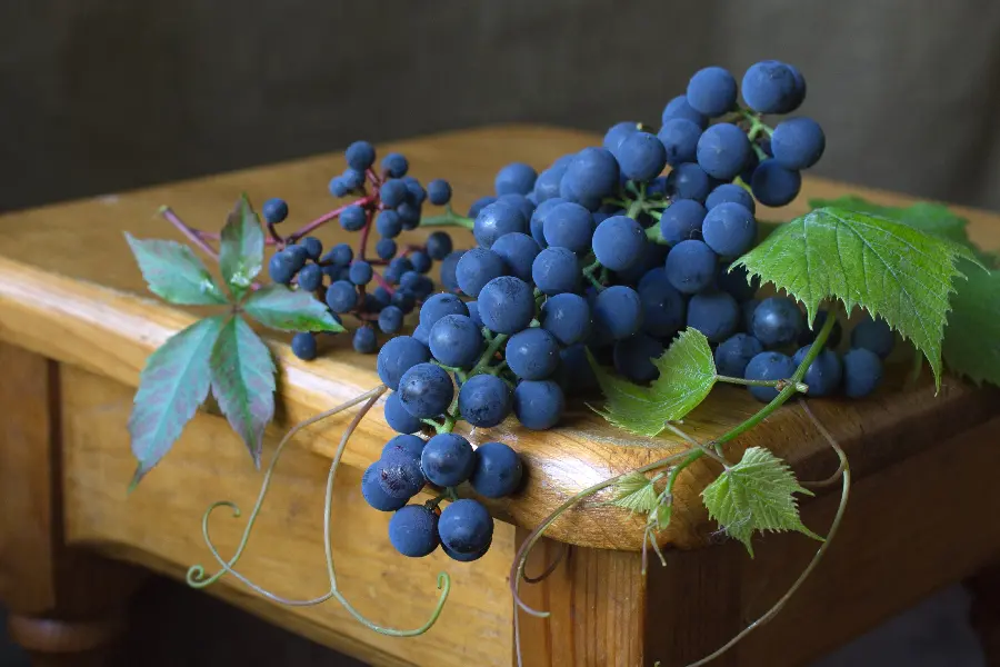 Image of delicious black grape fruit with excellent and very amazing properties