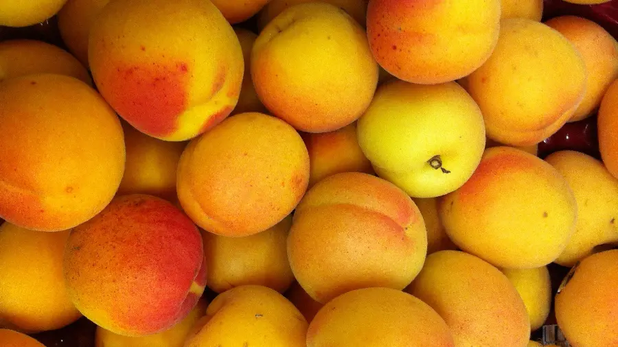 Very beautiful wallpaper of yellow and delicious apricots 