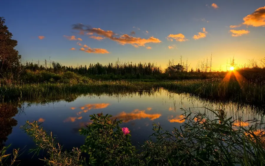 Relaxing Stock Image of Zen Nature at Sunset