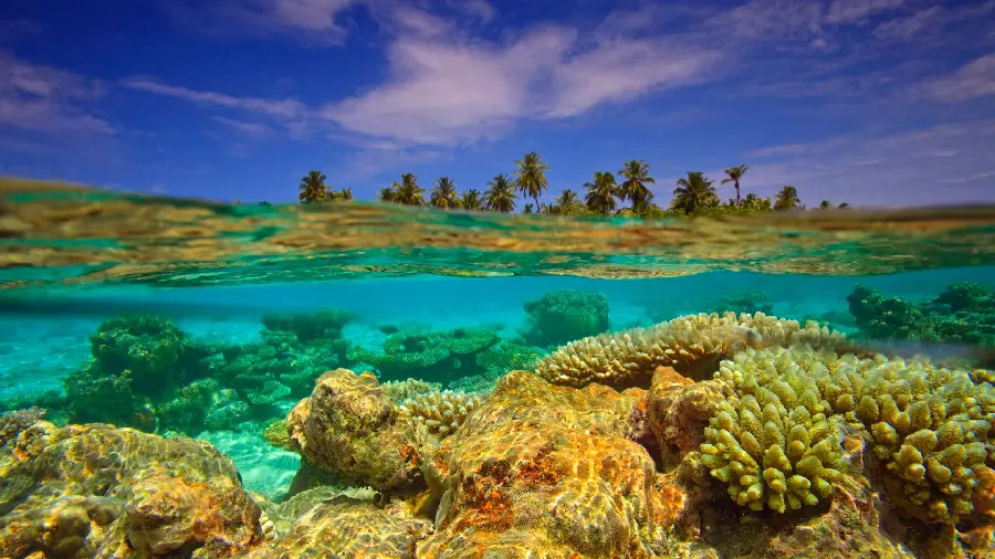 High-quality stock of transparent underwater for wallpaper
