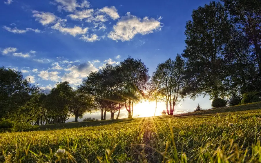 Beautiful summer evening background in nature suitable for iPhone and Samsung phones