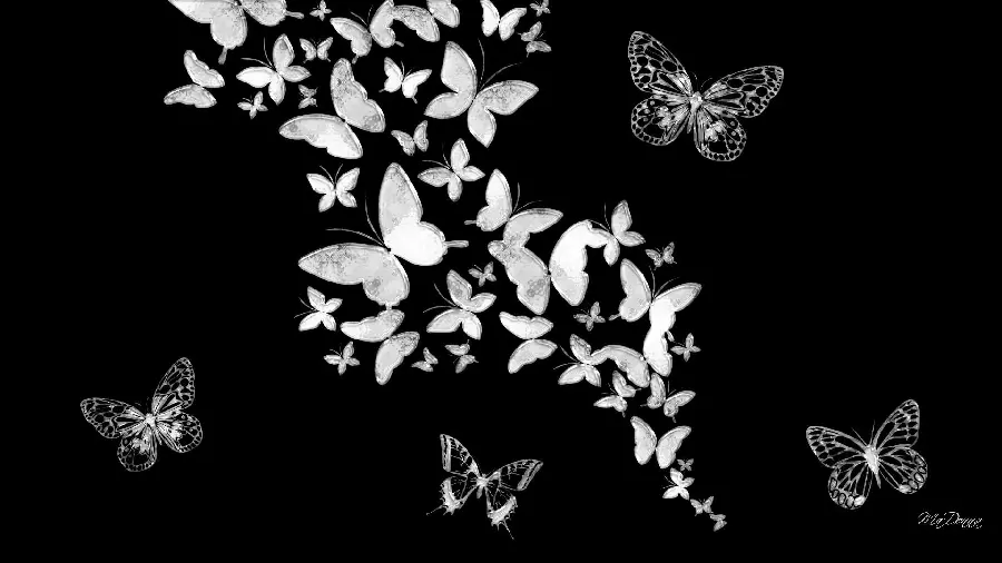 Interesting photo of beautiful gray butterflies in high quality 