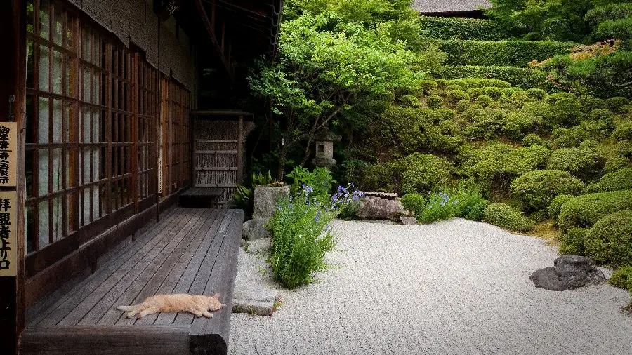 Download a very relaxing painting of a stone garden with cute animals 1402