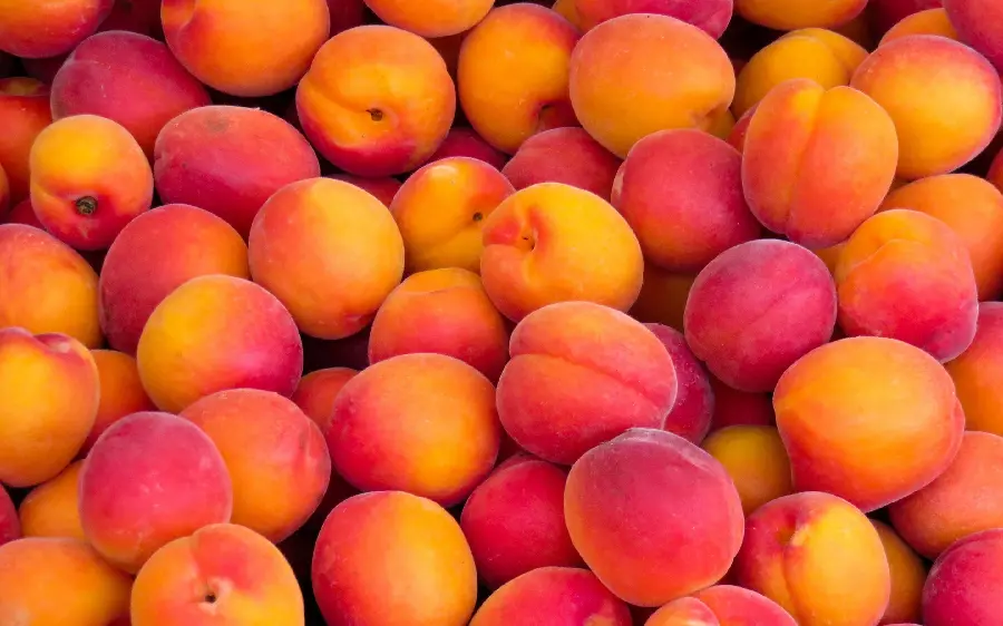 Download background of delicious saffron peaches for computer