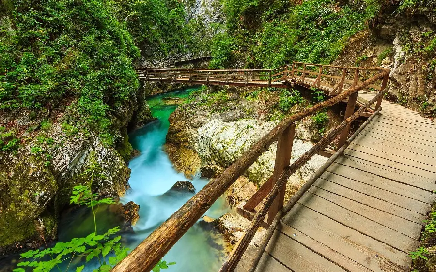 Beautiful and scenic background photo of a wonderful lake and a hanging bridge growing