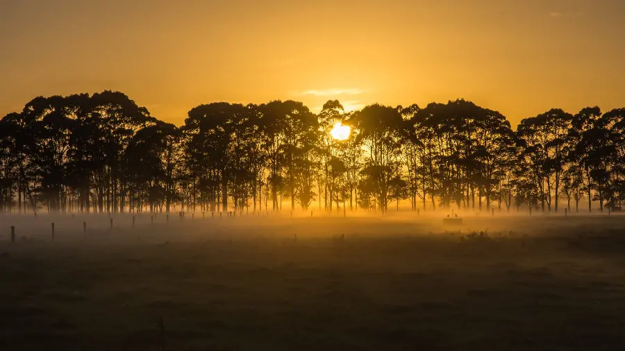 Beautiful nature background of 1402 with excellent quality